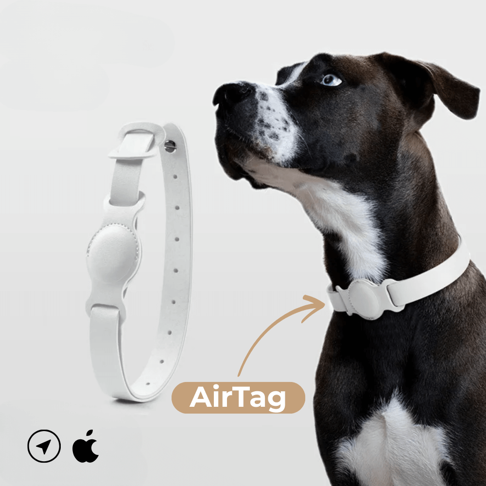 Obroża skórzana SafeTrack – z przegródką AirTag