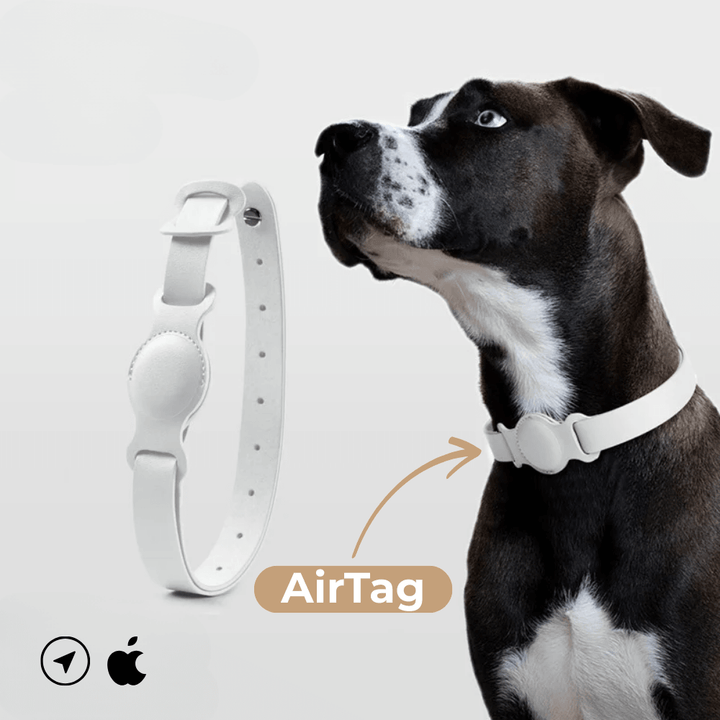 Obroża skórzana SafeTrack – z przegródką AirTag