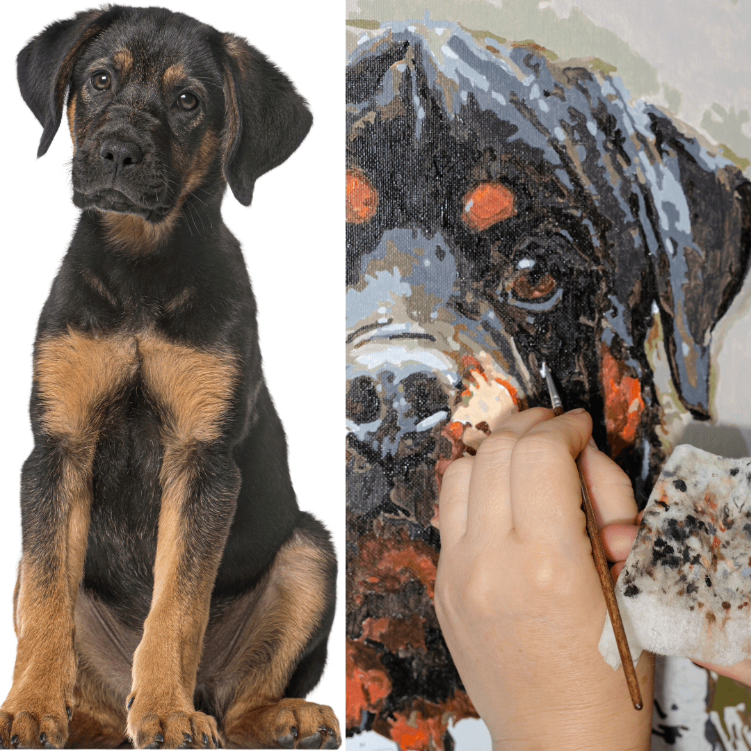 Malowanie po numerach – Twój własny pies (z ramą)