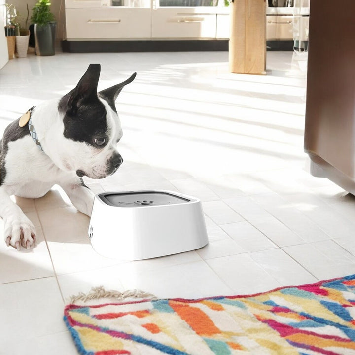 Emmalove - Miska dla psa AntiSplash