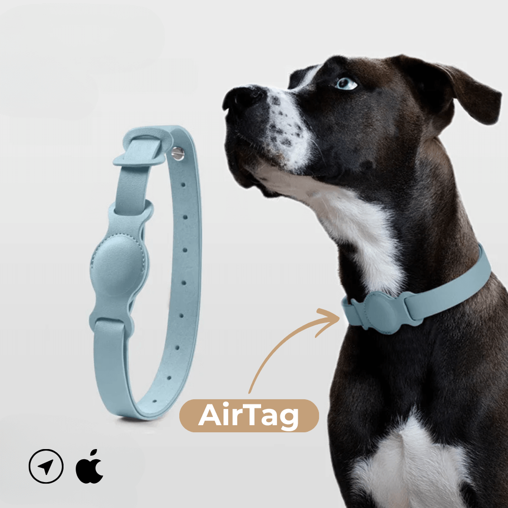 Obroża skórzana SafeTrack – z przegródką AirTag