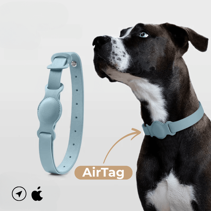 Obroża skórzana SafeTrack – z przegródką AirTag