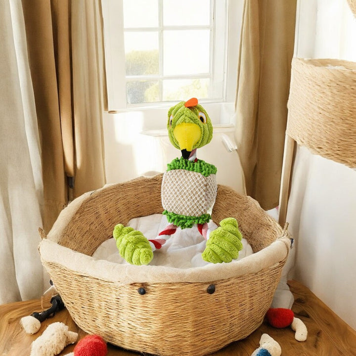 Emmalove - Papuga Peter