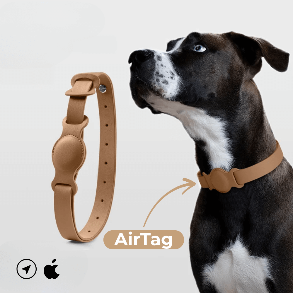 Obroża skórzana SafeTrack – z przegródką AirTag