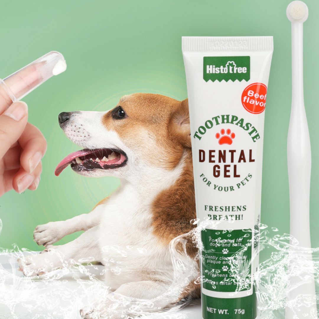 Emmalove - Zestaw do pielęgnacji zębów