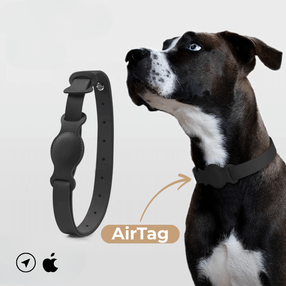 Obroża skórzana SafeTrack – z przegródką AirTag