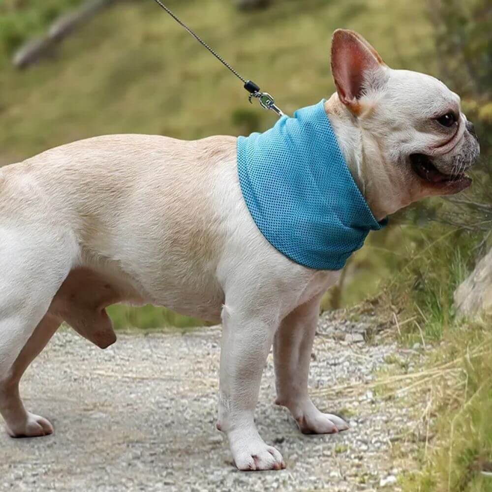 Emmalove - Kołnierz chłodzący Cool Comfort™