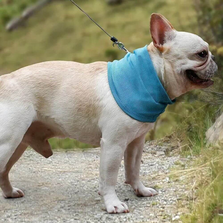 Emmalove - Kołnierz chłodzący Cool Comfort™