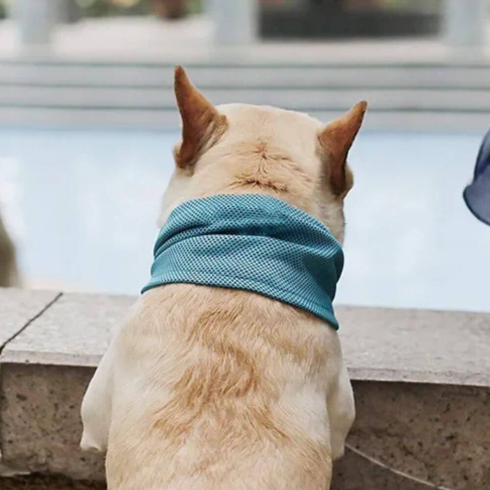 Emmalove - Kołnierz chłodzący Cool Comfort™