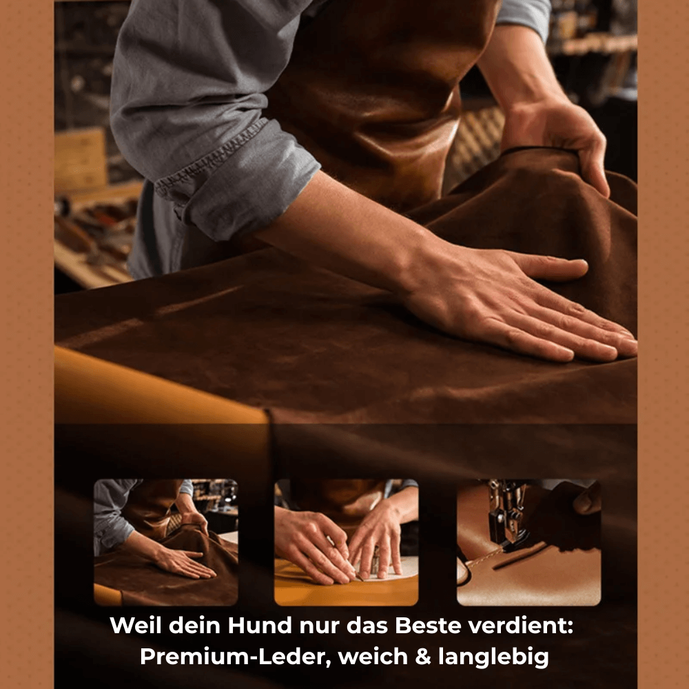 Obroża skórzana SafeTrack – z przegródką AirTag