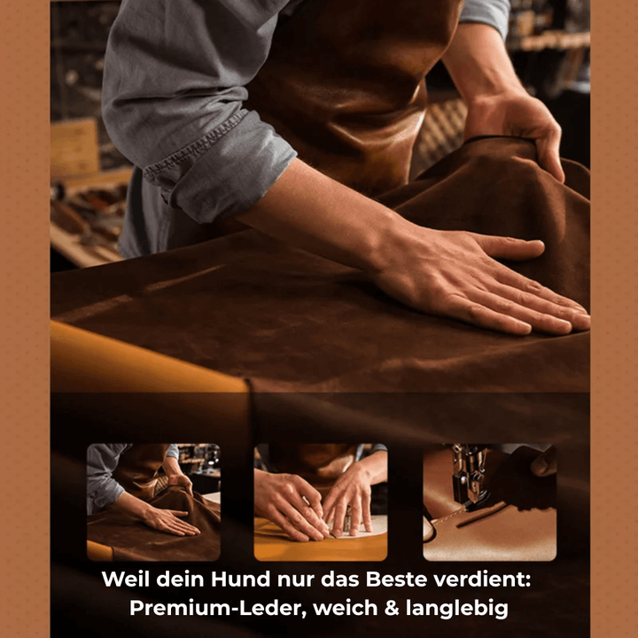 Obroża skórzana SafeTrack – z przegródką AirTag