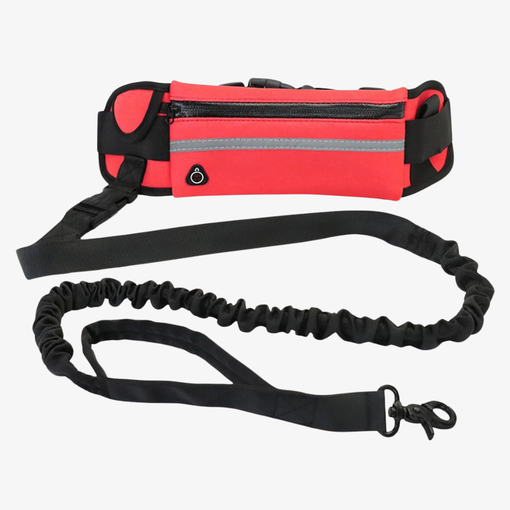 Smycz All-in-One Comfort