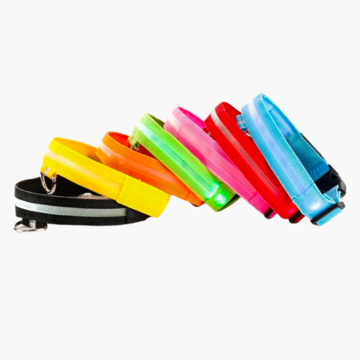 Emmalove - Podświetlana obroża