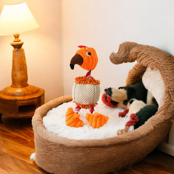 Emmalove - Papuga Petra