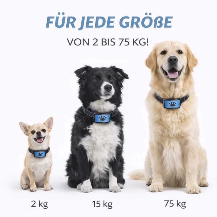 Emmalove – Przyjazna dla zwierząt obroża antyszczekowa