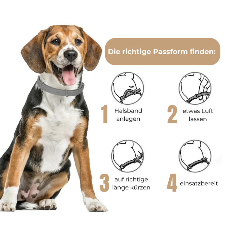 Emmalove - obroża przeciw pchłom i kleszczom