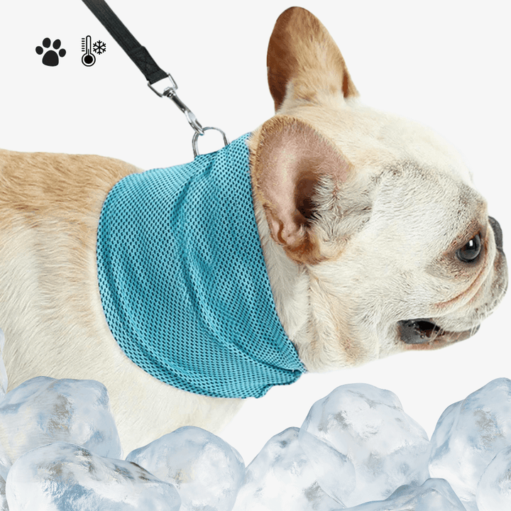 Emmalove - Kołnierz chłodzący Cool Comfort™