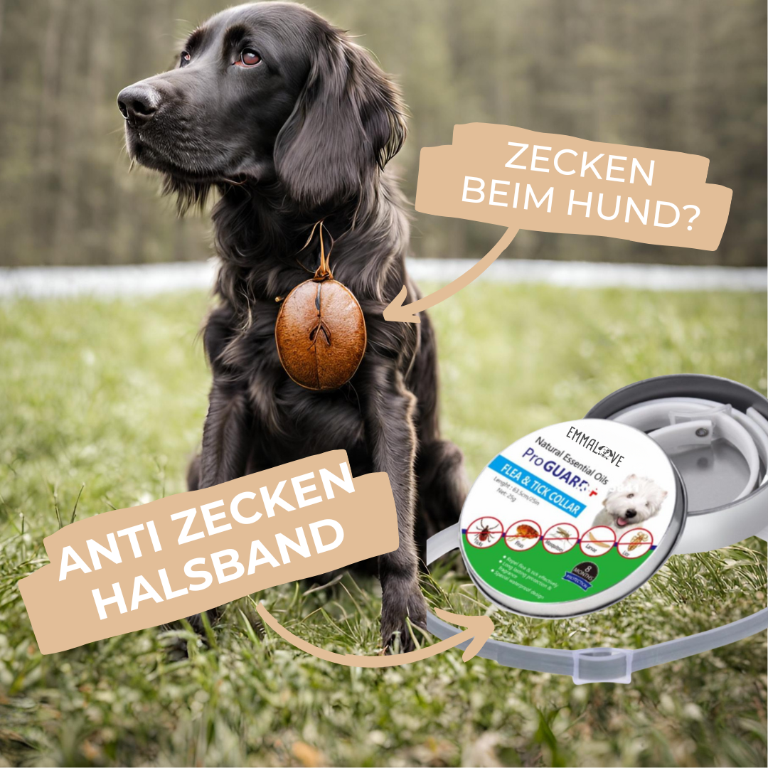 Emmalove - obroża przeciw pchłom i kleszczom