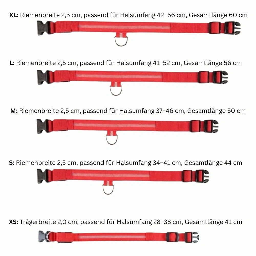 Emmalove - Podświetlana obroża