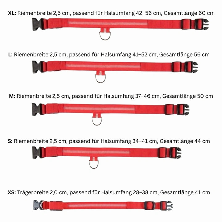 Emmalove - Podświetlana obroża