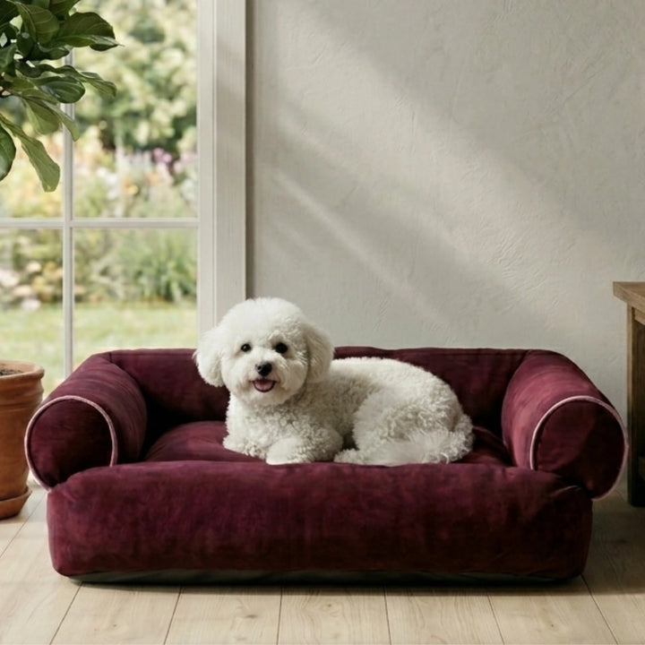 color-Winered