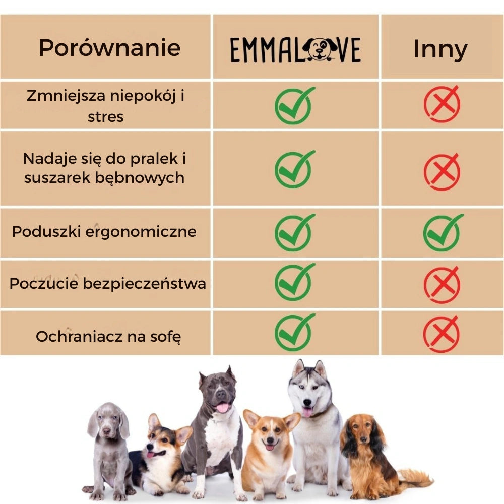 color-all-lang-pl