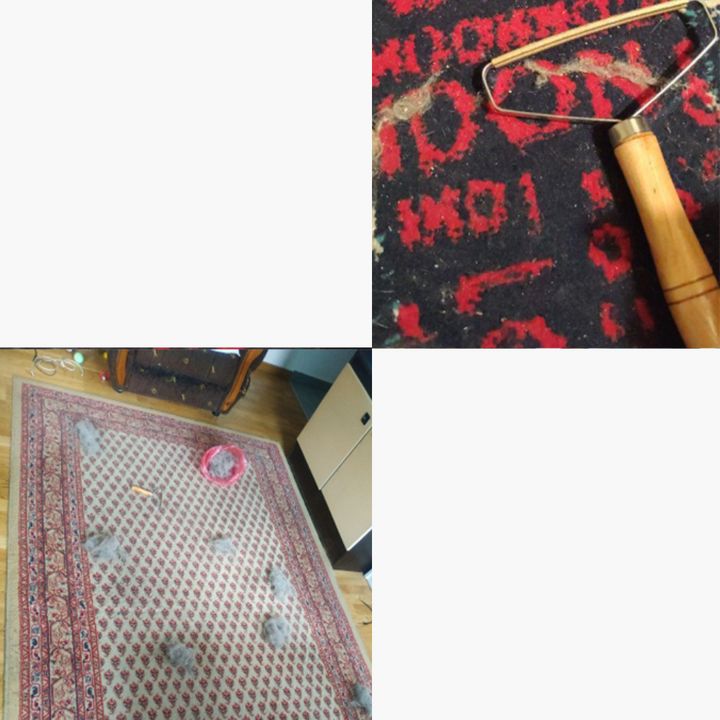 Emmalove - Środek do usuwania sierści zwierząt