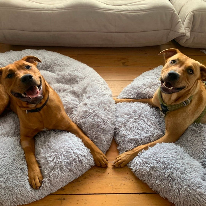 Emmalove - Przytulny pączek