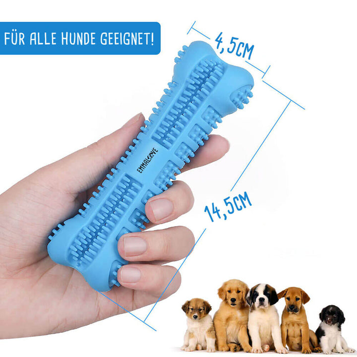 Zahnreinigung_Emmalove