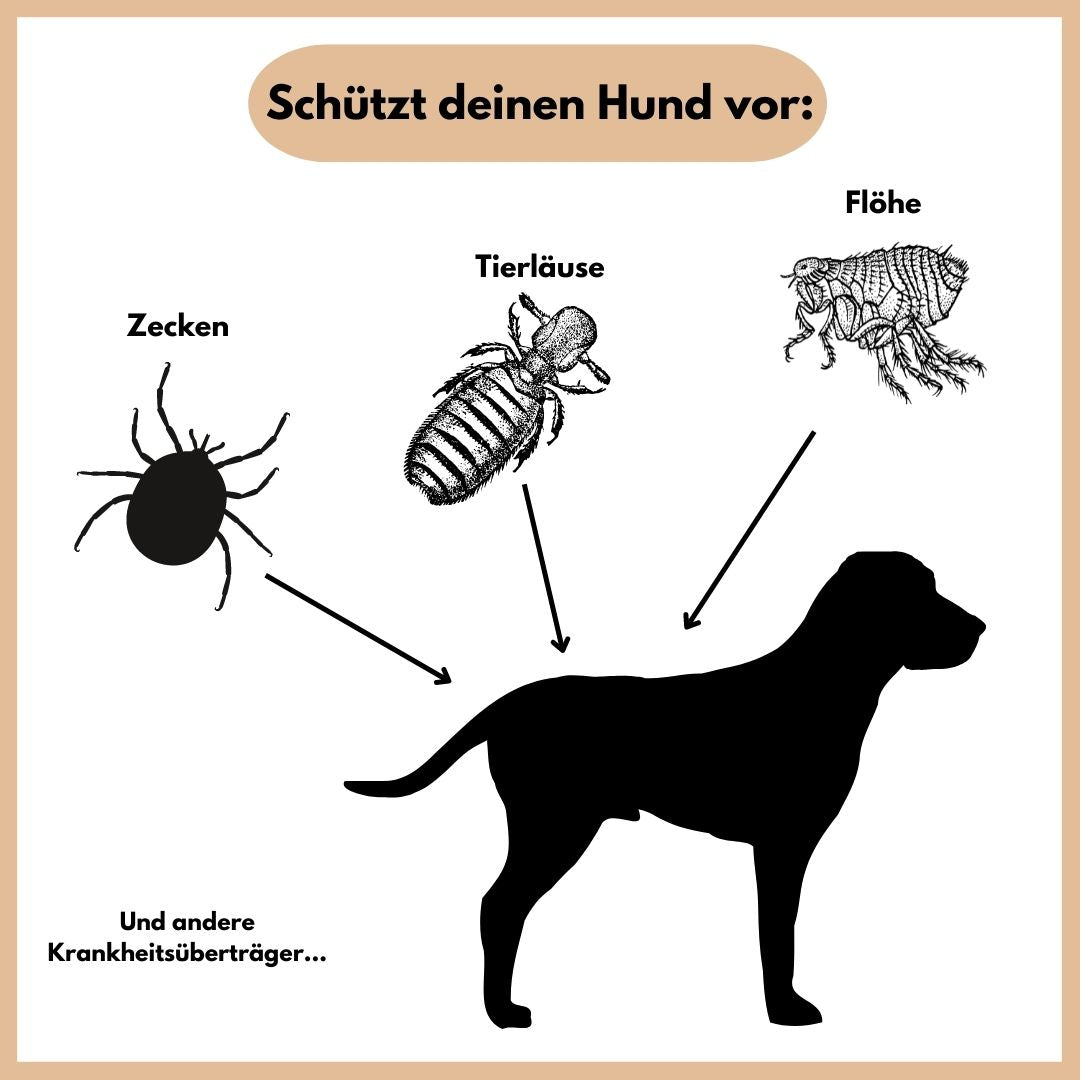 Emmalove - obroża przeciw pchłom i kleszczom
