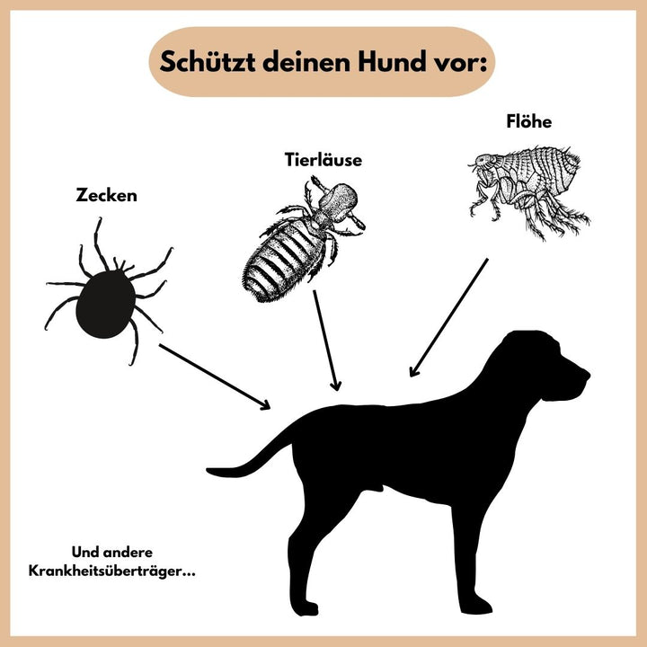 Emmalove - obroża przeciw pchłom i kleszczom